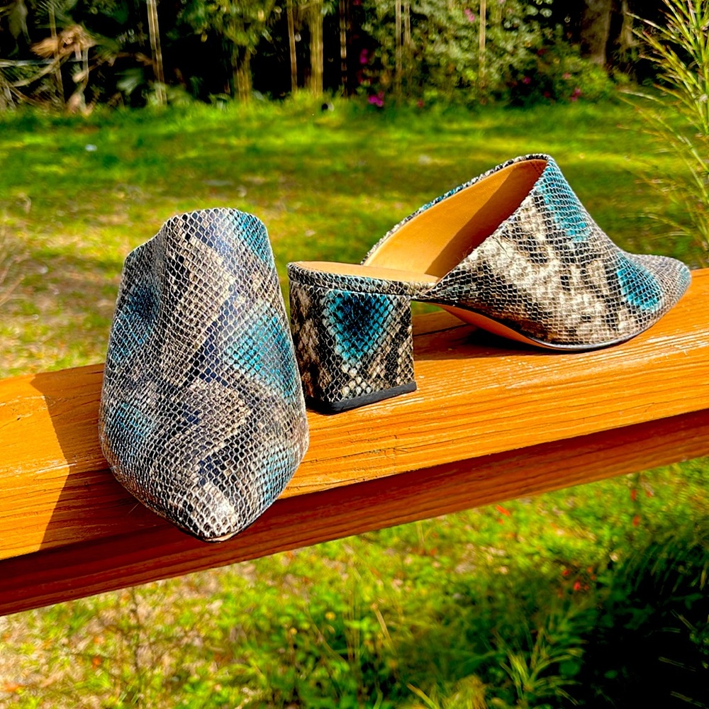 14th and Union snakeskin booties 11M. NWT